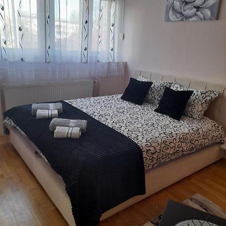 Apartman Aurora 诺威萨 外观 照片