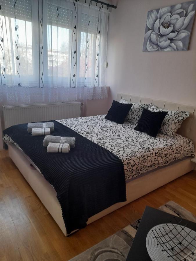 Apartman Aurora 诺威萨 外观 照片