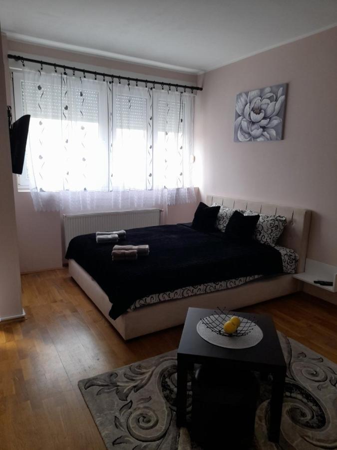Apartman Aurora 诺威萨 外观 照片